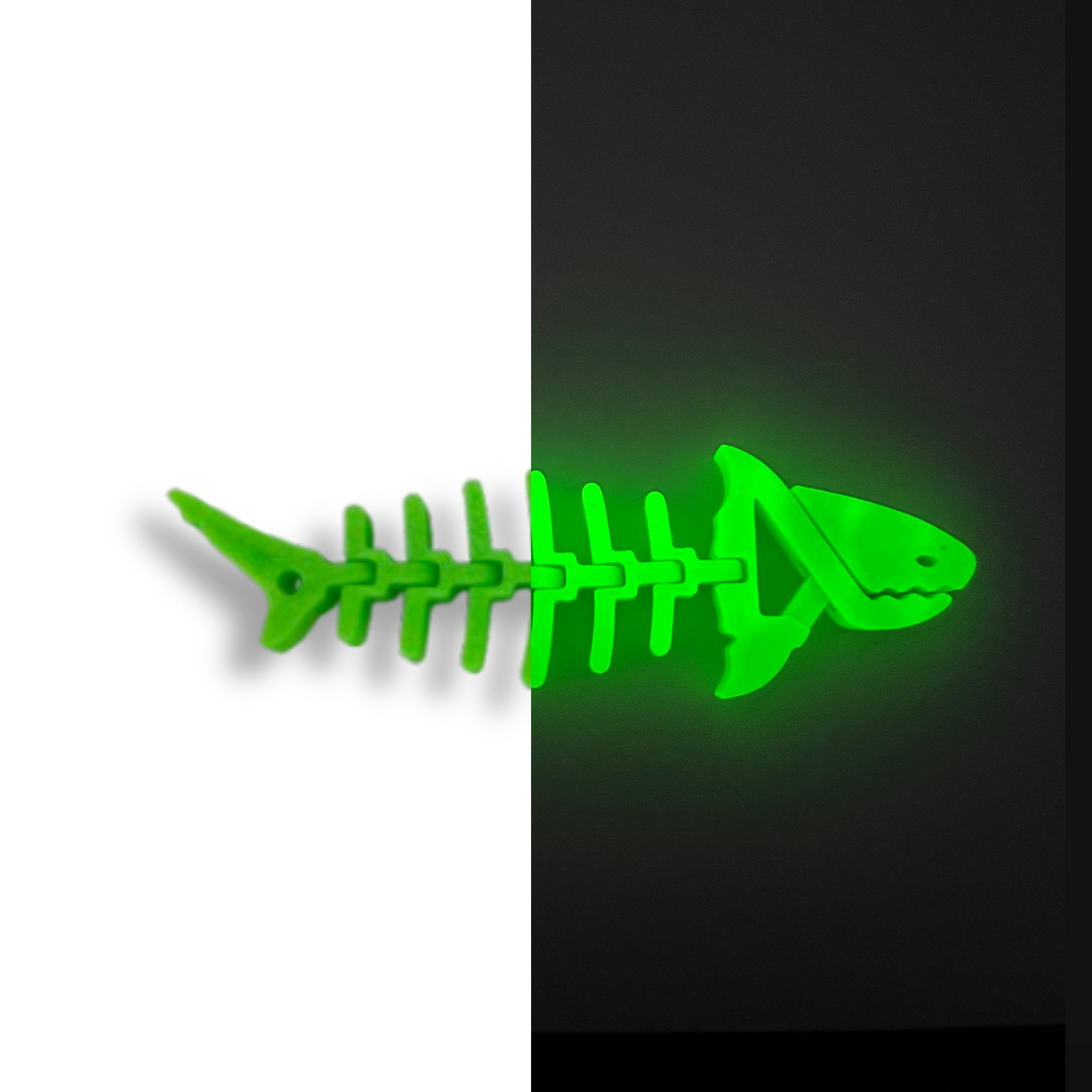 Rekinek Glow